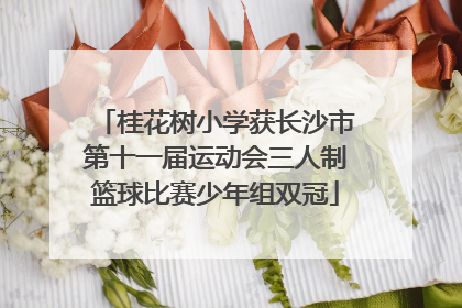 桂花树小学获长沙市第十一届运动会三人制篮球比赛少年组双冠