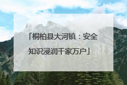 桐柏县大河镇：安全知识浸润千家万户