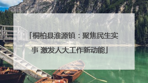 桐柏县淮源镇：聚焦民生实事 激发人大工作新动能