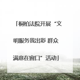 桐柏法院开展“文明服务我出彩 群众满意在窗口”活动