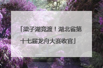 梁子湖竞渡！湖北省第十七届龙舟大赛收官