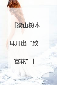 梁山粉木耳开出“致富花”