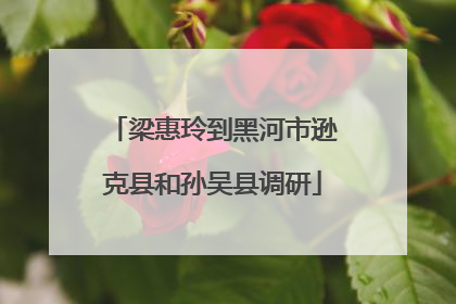 梁惠玲到黑河市逊克县和孙吴县调研