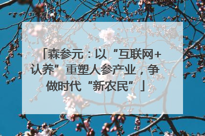 森参元：以“互联网+认养”重塑人参产业，争做时代“新农民”
