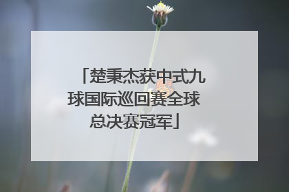 楚秉杰获中式九球国际巡回赛全球总决赛冠军