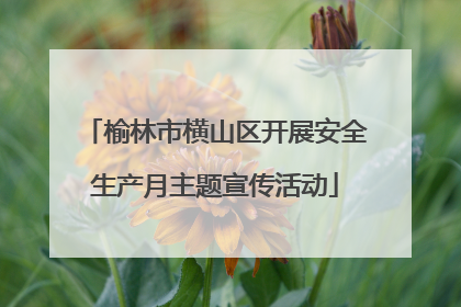 榆林市横山区开展安全生产月主题宣传活动
