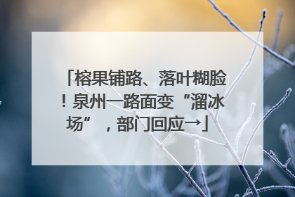榕果铺路、落叶糊脸！泉州一路面变“溜冰场”，部门回应→