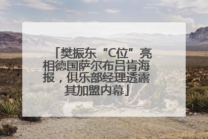 樊振东“C位”亮相德国萨尔布吕肯海报，俱乐部经理透露其加盟内幕