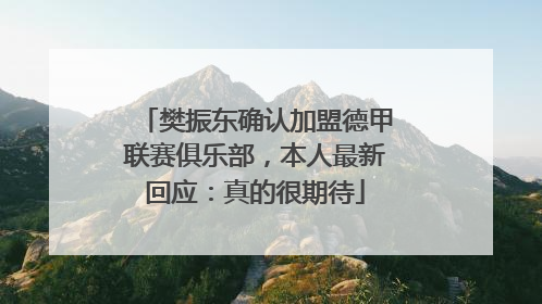 樊振东确认加盟德甲联赛俱乐部，本人最新回应：真的很期待