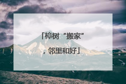 樟树“搬家”，邻里和好