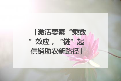 激活要素“乘数”效应，“链”起供销助农新路径