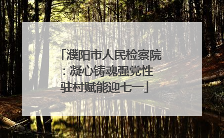 濮阳市人民检察院：凝心铸魂强党性 驻村赋能迎七一