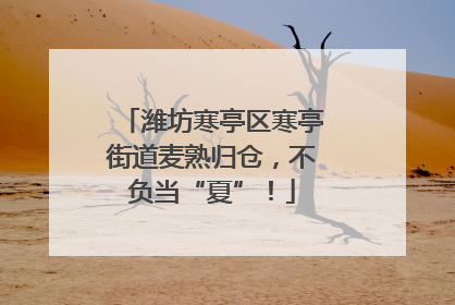 潍坊寒亭区寒亭街道麦熟归仓，不负当“夏”！