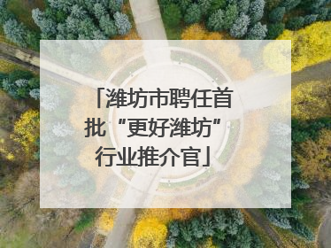 潍坊市聘任首批“更好潍坊”行业推介官
