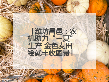 潍坊昌邑：农机助力“三夏”生产 金色麦田绘就丰收图景