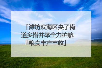 潍坊滨海区央子街道多措并举全力护航粮食丰产丰收