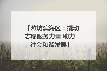 潍坊滨海区：撬动志愿服务力量 助力社会和谐发展