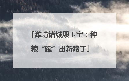 潍坊诸城殷玉宝：种粮“蹚”出新路子