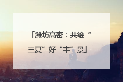 潍坊高密：共绘“三夏”好“丰”景