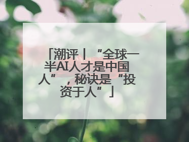 潮评丨“全球一半AI人才是中国人”，秘诀是“投资于人”