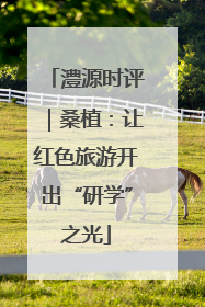 澧源时评｜桑植：让红色旅游开出“研学”之光