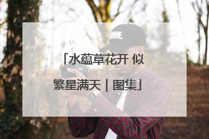 水蕴草花开 似繁星满天｜图集