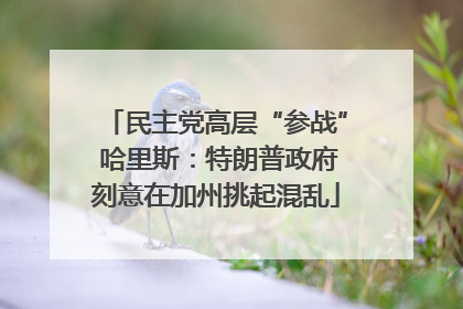 民主党高层“参战” 哈里斯：特朗普政府刻意在加州挑起混乱
