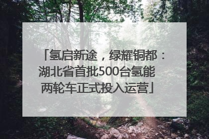 氢启新途，绿耀铜都：湖北省首批500台氢能两轮车正式投入运营