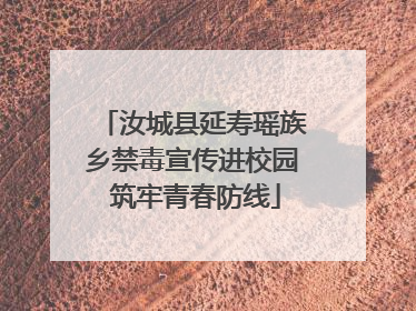汝城县延寿瑶族乡禁毒宣传进校园 筑牢青春防线