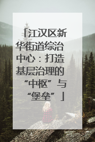 江汉区新华街道综治中心：打造基层治理的“中枢”与“堡垒”