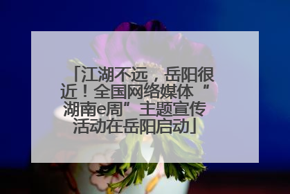 江湖不远，岳阳很近！全国网络媒体“湖南e周”主题宣传活动在岳阳启动