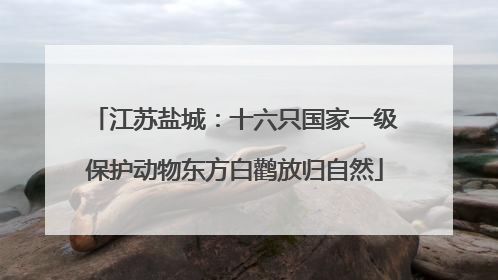 江苏盐城：十六只国家一级保护动物东方白鹳放归自然