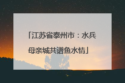 江苏省泰州市：水兵母亲城共谱鱼水情