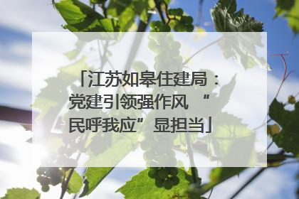 江苏如皋住建局：党建引领强作风 “民呼我应”显担当