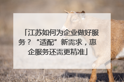 江苏如何为企业做好服务？“适配”新需求，惠企服务还需更精准
