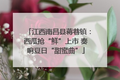 江西南昌县蒋巷镇：西瓜抢“鲜”上市 奏响夏日“甜蜜曲”