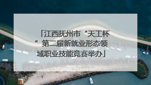 江西抚州市“天工杯”第二届新就业形态领域职业技能竞赛举办
