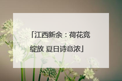 江西新余：荷花竞绽放 夏日诗意浓