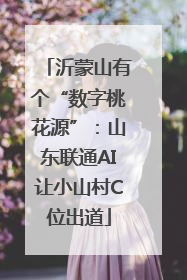沂蒙山有个“数字桃花源”：山东联通AI让小山村C位出道