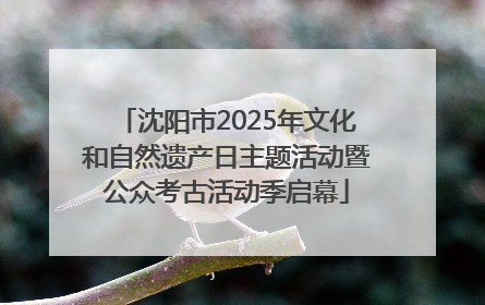沈阳市2025年文化和自然遗产日主题活动暨公众考古活动季启幕