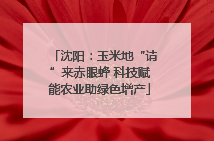 沈阳：玉米地“请”来赤眼蜂 科技赋能农业助绿色增产