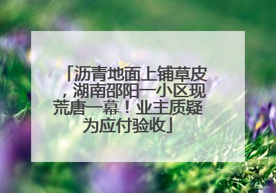 沥青地面上铺草皮，湖南邵阳一小区现荒唐一幕！业主质疑为应付验收