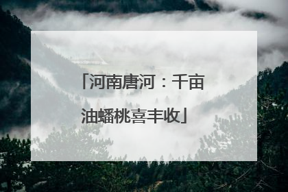 河南唐河：千亩油蟠桃喜丰收