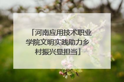 河南应用技术职业学院文明实践助力乡村振兴显担当