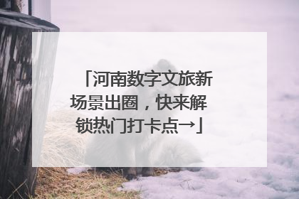 河南数字文旅新场景出圈，快来解锁热门打卡点→