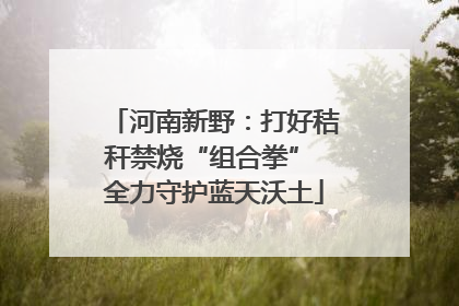 河南新野：打好秸秆禁烧“组合拳” 全力守护蓝天沃土