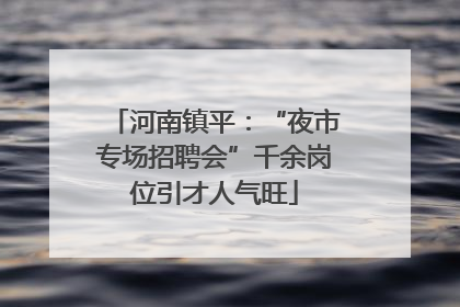 河南镇平：“夜市专场招聘会”千余岗位引才人气旺