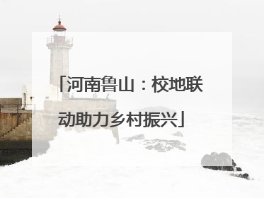 河南鲁山：校地联动助力乡村振兴