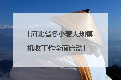 河北省冬小麦大规模机收工作全面启动