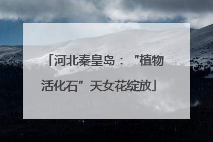 河北秦皇岛：“植物活化石”天女花绽放